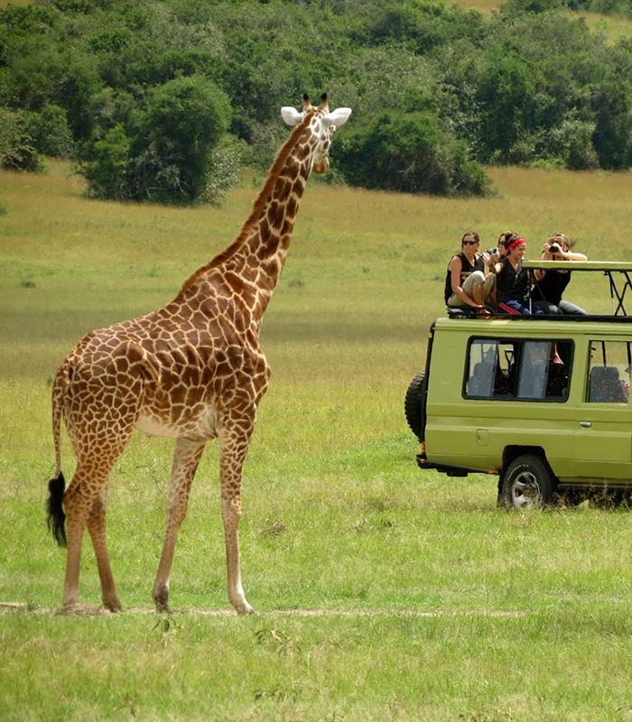 5 DAYS ADVENTURE SAFARIS