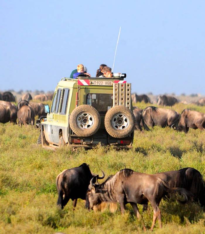 9 DAYS ADVENTURE SAFARIS