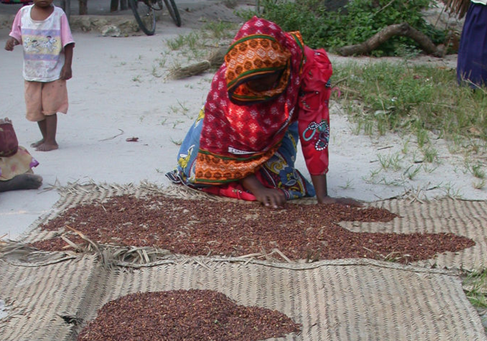 OLE CULTURAL VILLAGE TOUR