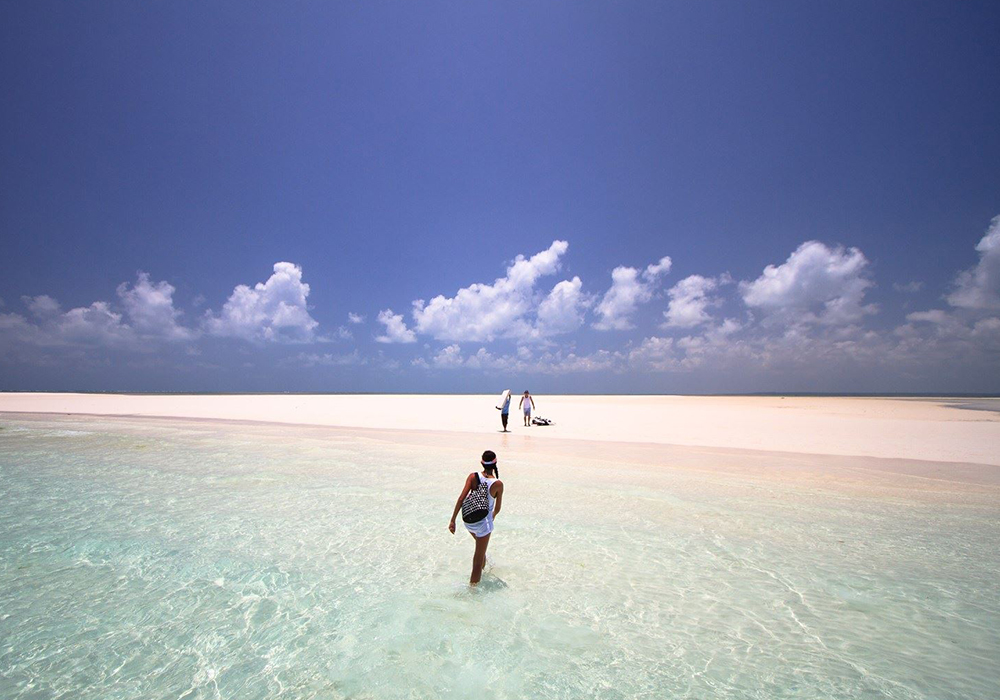 SANDBANK ISLAND TOUR