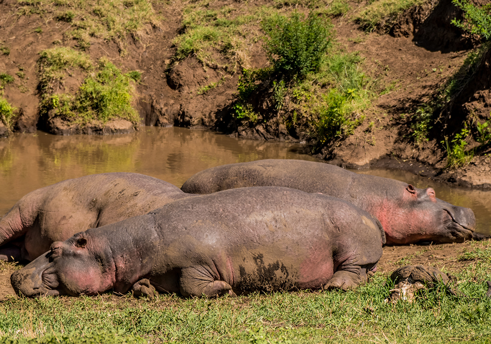 MKOMAZI NATIONAL PARK