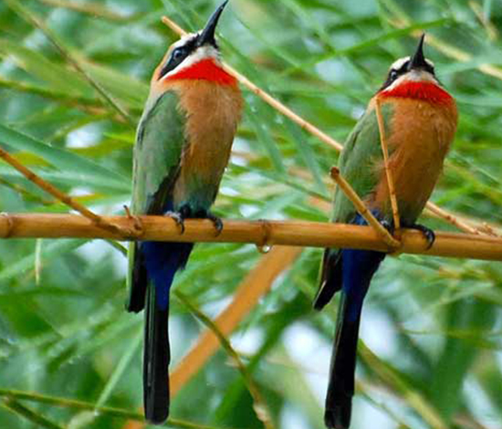 KITULO NATIONAL PARK