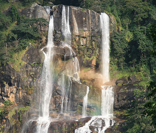 UDZUNGWA NATIONAL PARK