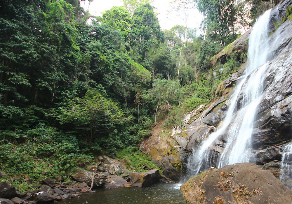 UDZUNGWA MOUNTAINS NATIONAL PARK