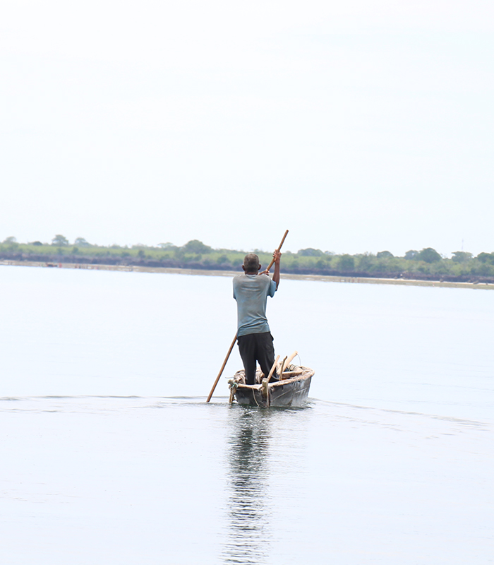 Safari Blue Sea Adventure