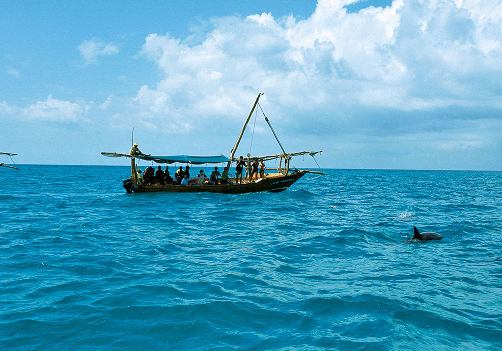 KIZIMKAZI DOLPHIN TOUR