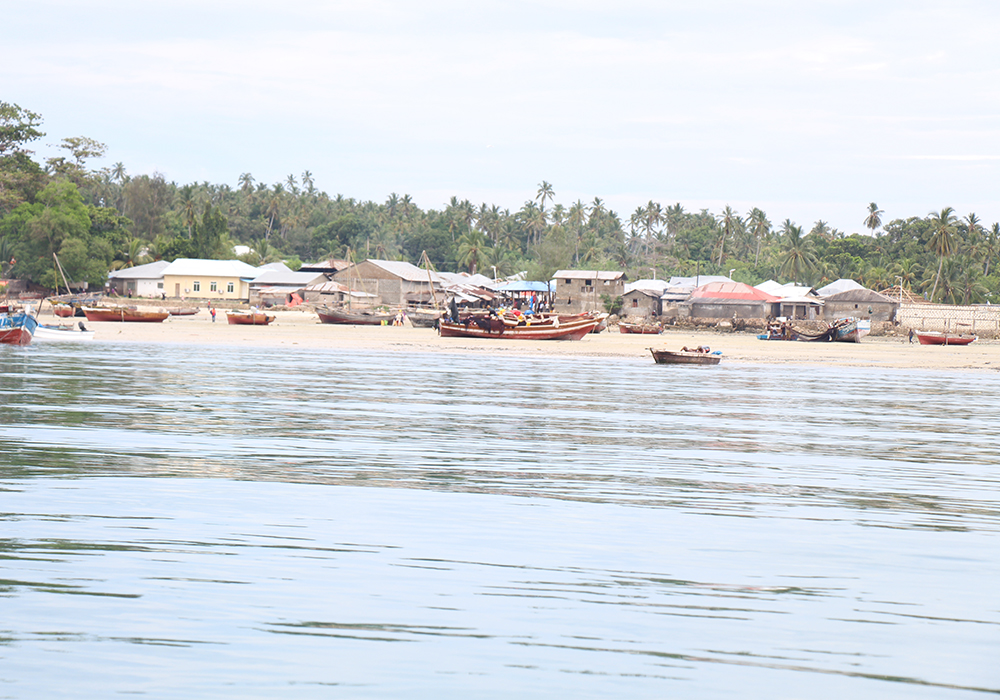 TUMBATU CULTURAL VILLAGE TOUR