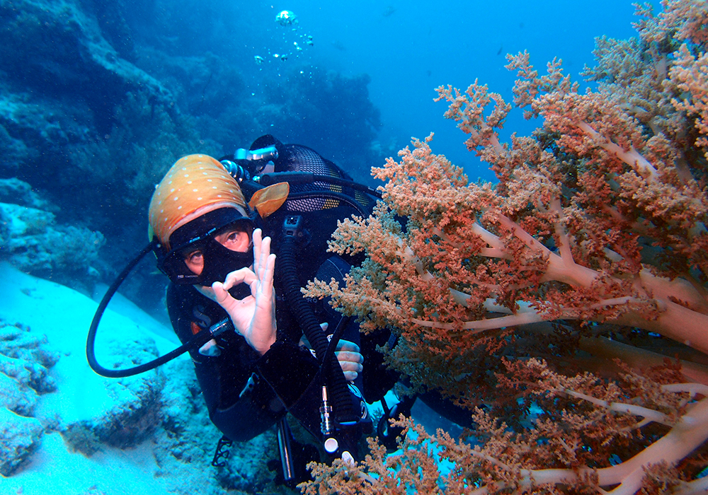 DIVING & SNORKELING IN ZANZIBAR