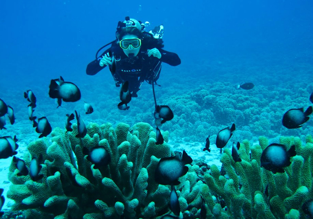 DIVING & SNORKELING IN ZANZIBAR