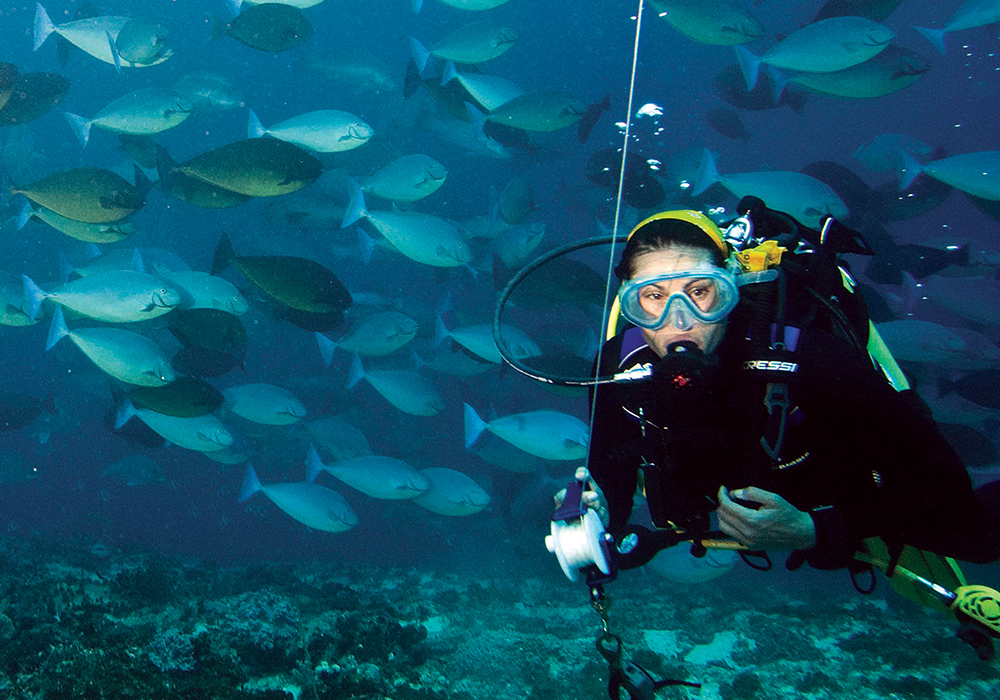 DIVING & SNORKELING IN ZANZIBAR